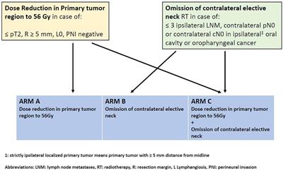 De-intensification of postoperative radiotherapy in head and neck cancer irrespective of human papillomavirus status—results of a prospective multicenter phase II trial (DIREKHT Trial)